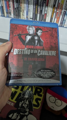 Destino cavaliere - il,